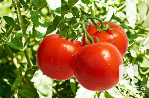 番茄搭配一种菜，效果堪比降压药